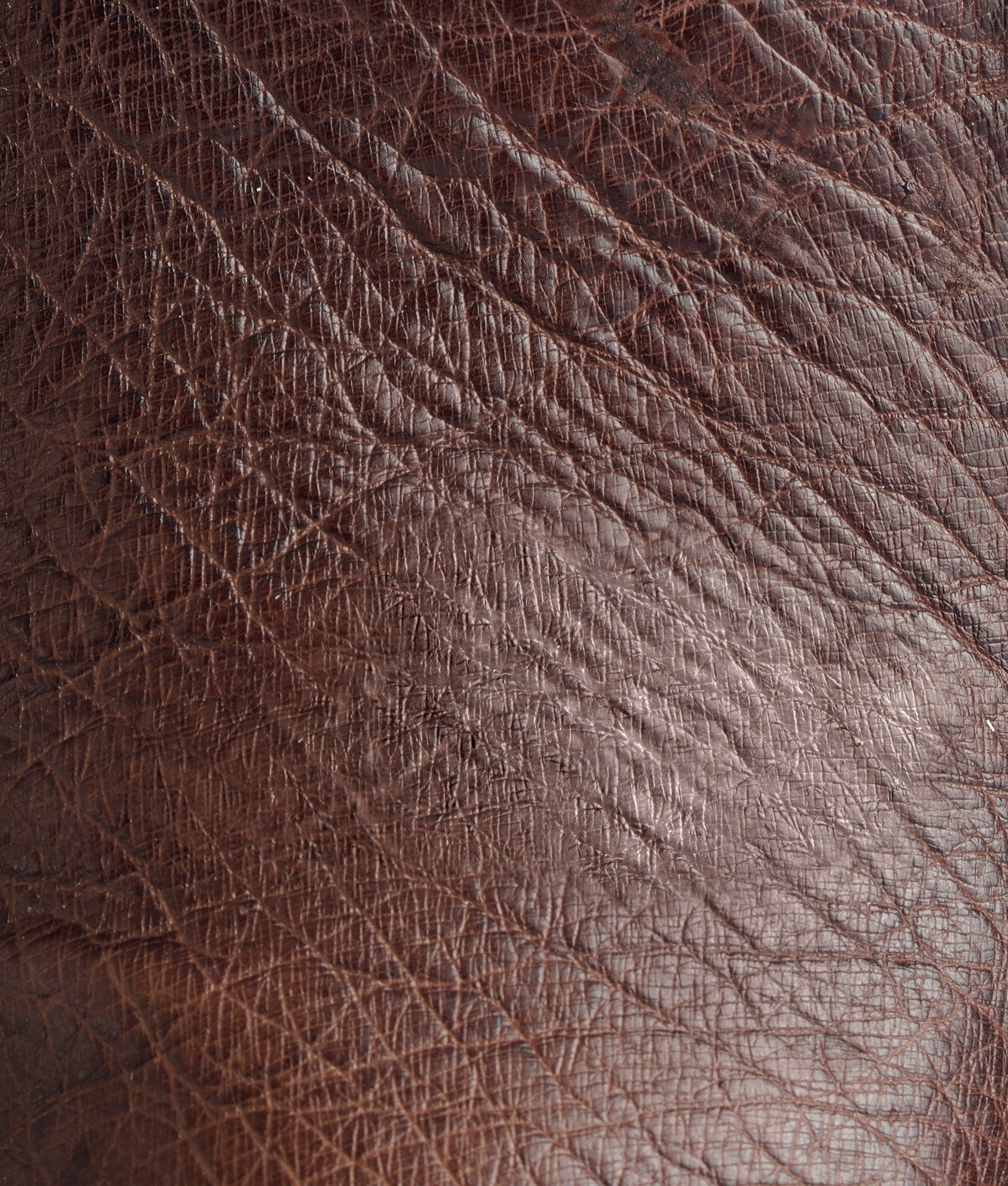 Ridgeline Exotic Chukka Boot :: Tobacco - Image 8