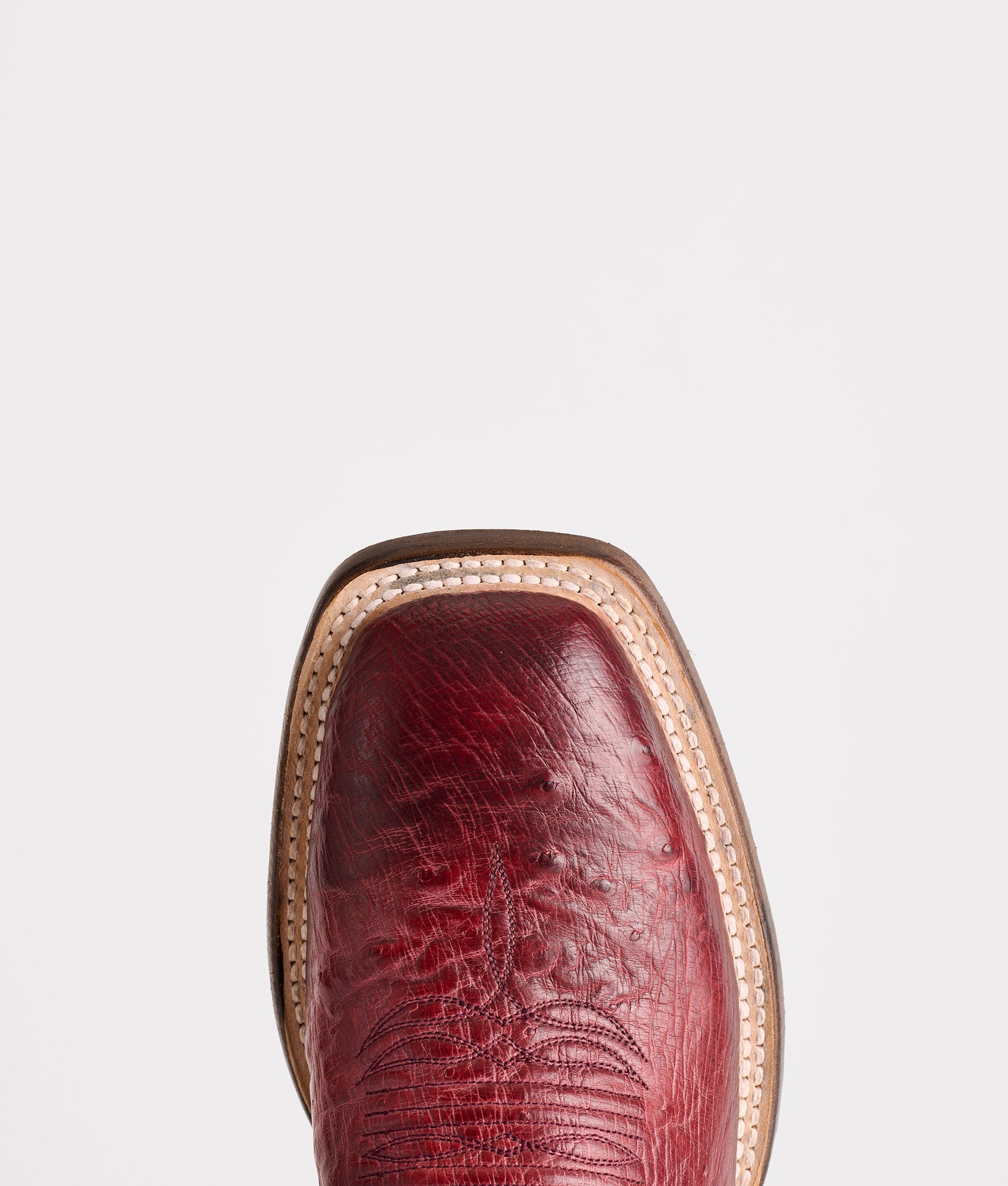 Cecil Exotic :: Black Cherry - Image 6