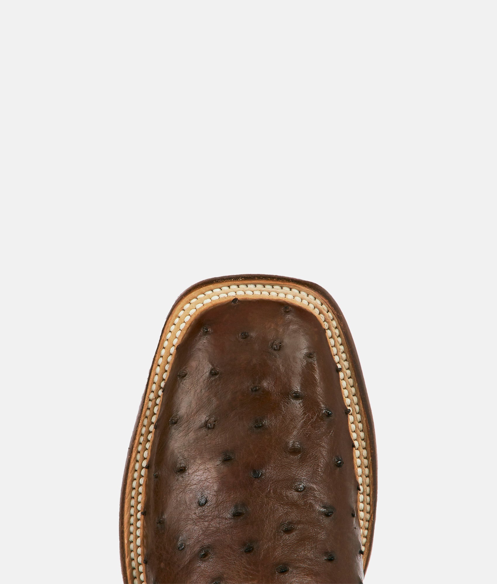 Cade :: Sienna - Image 7