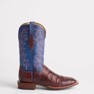 Tulipano Horseman :: Chocolate