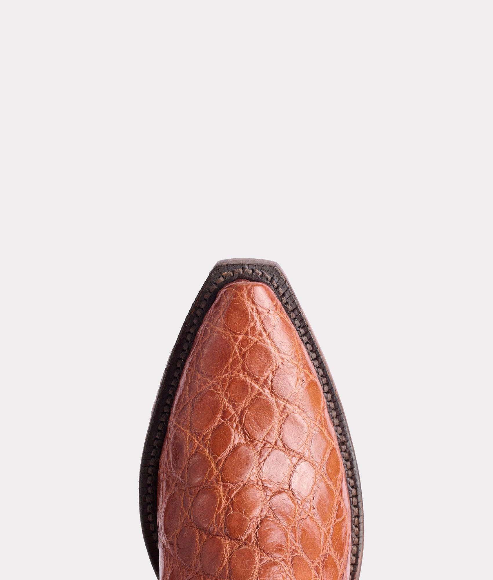 Lady :: Cognac - Image 7