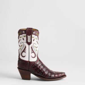 Not Your Darlin' :: Black Cherry