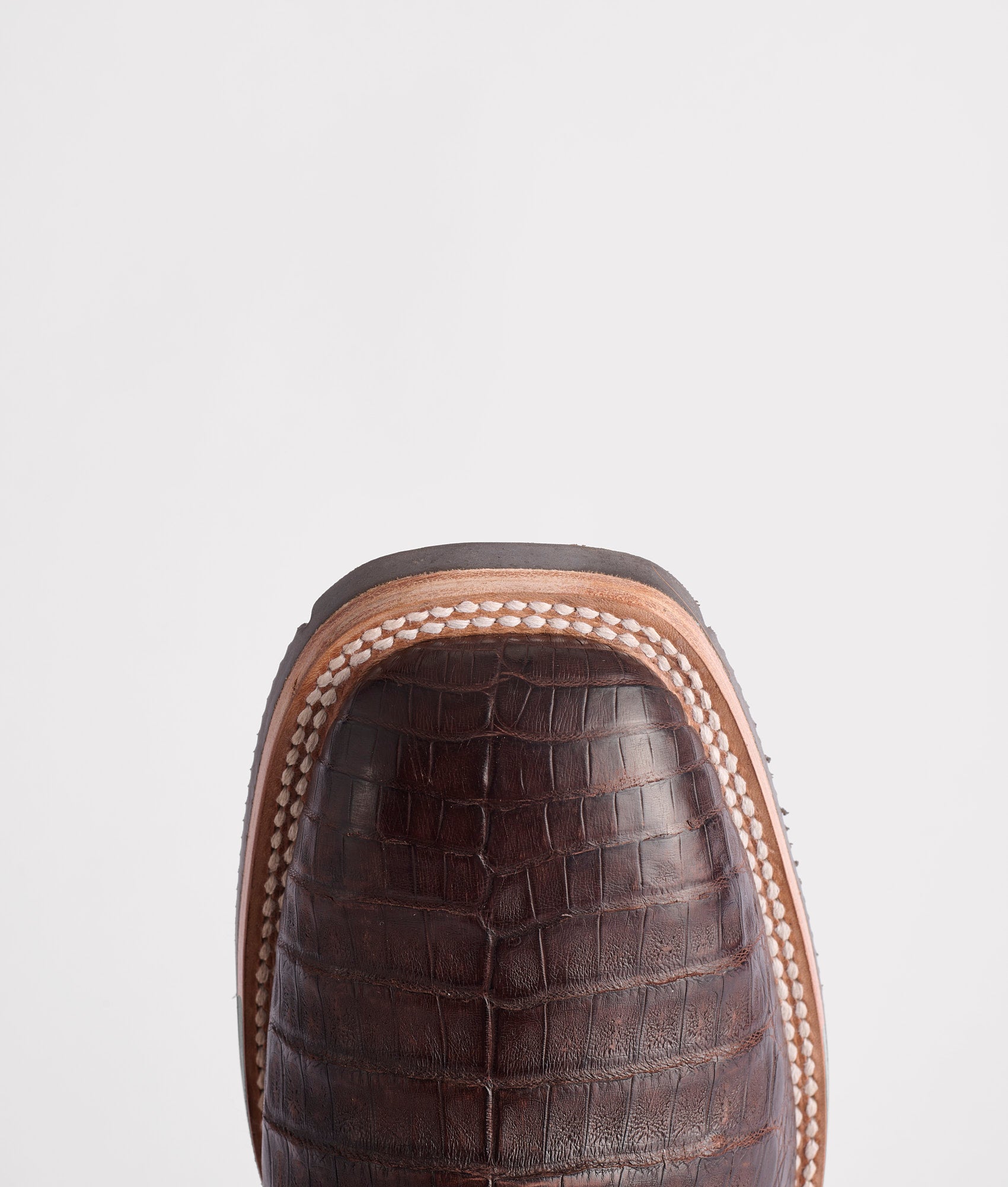 Rowdy Caiman :: Chocolate - Image 7