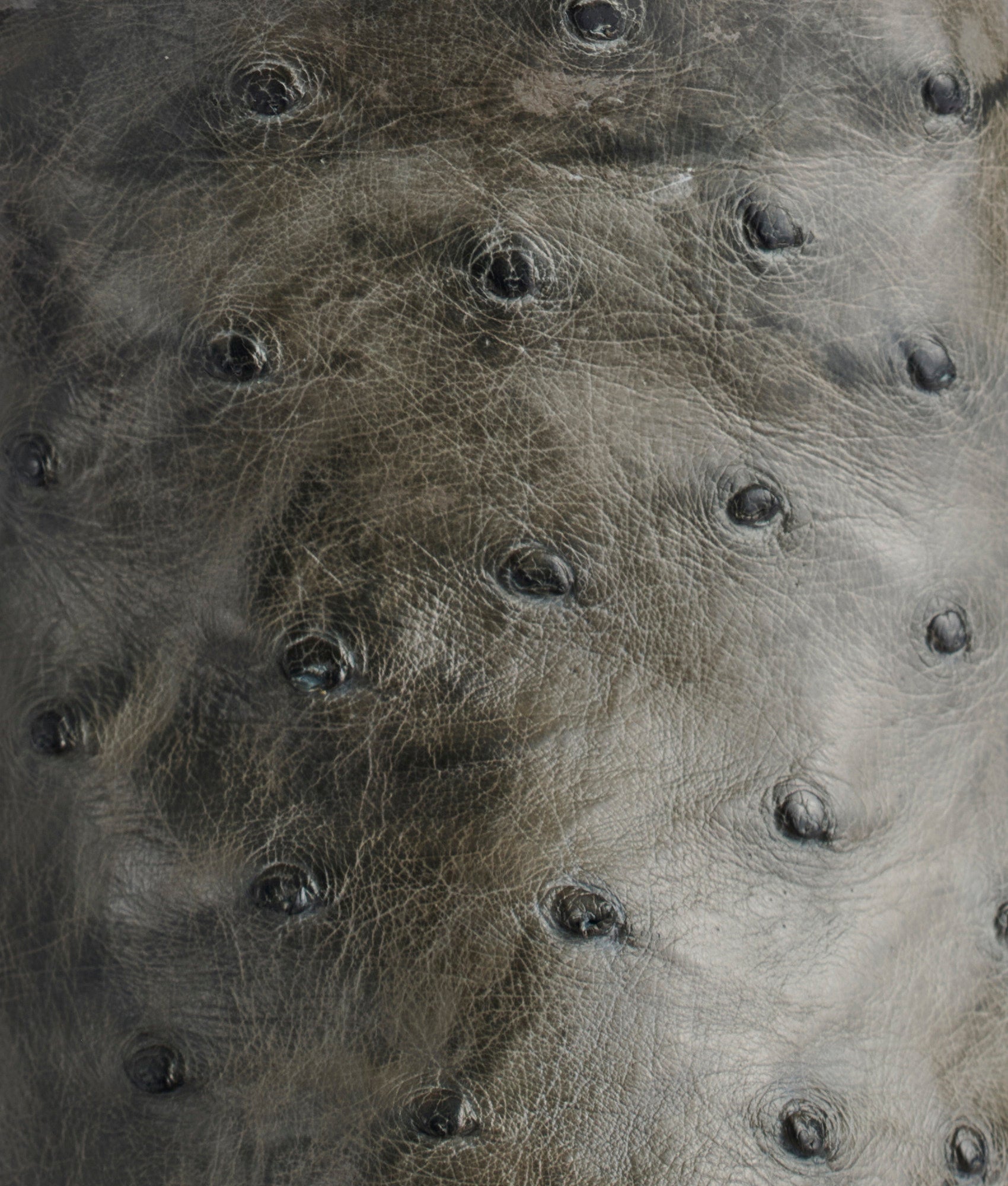 Elgin :: Anthracite - Image 8