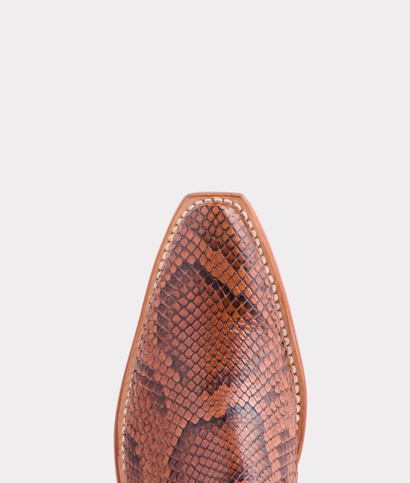 Dale Exotic :: Amber - Image 7