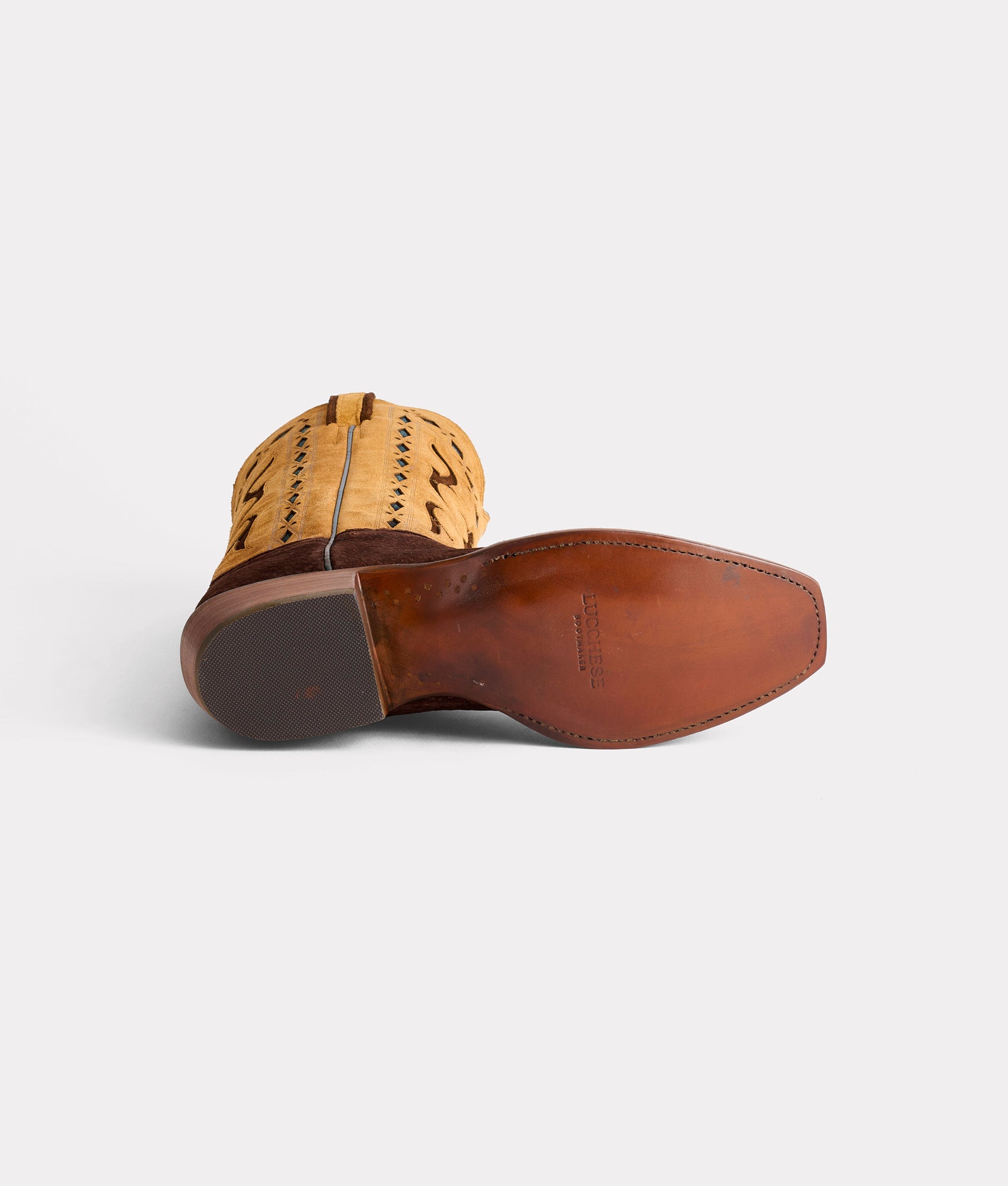 Carpincho :: Chocolate - Image 6