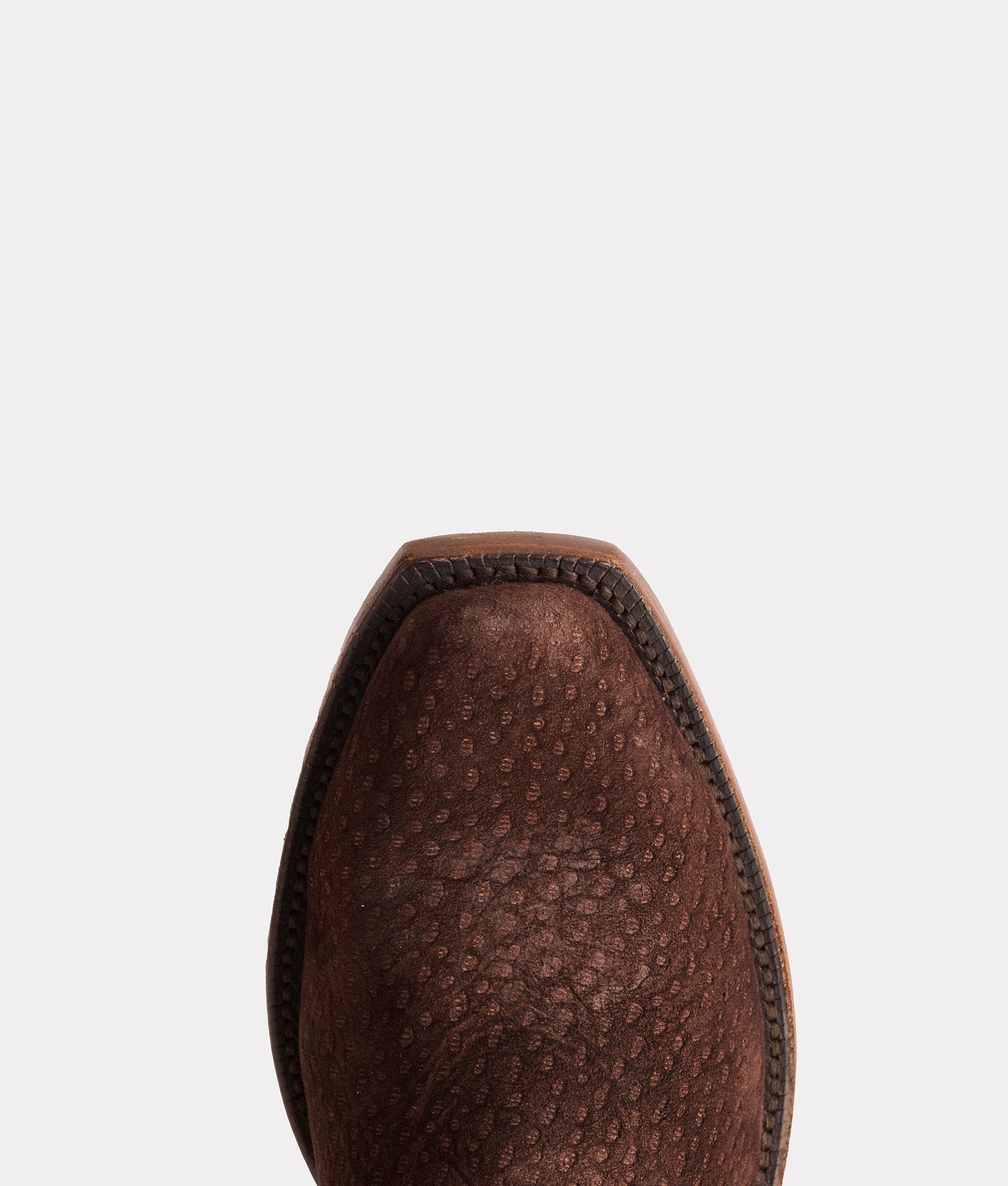 Carpincho :: Chocolate - Image 8