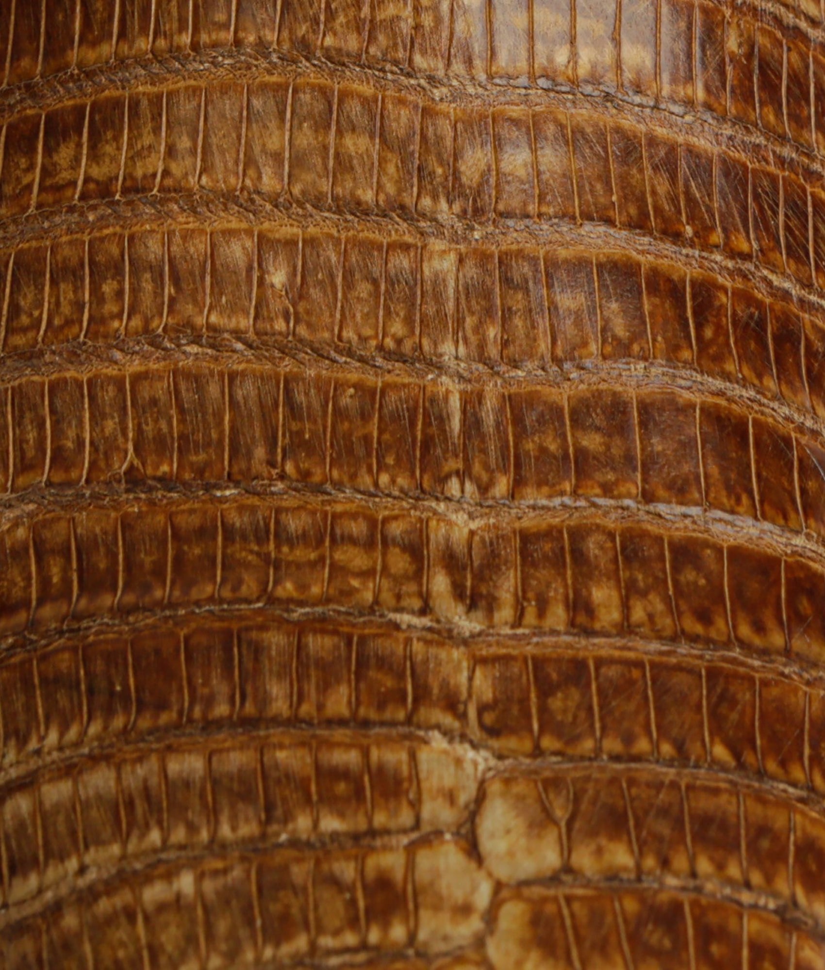 Priscilla Exotic :: Tan + Sage - Image 6