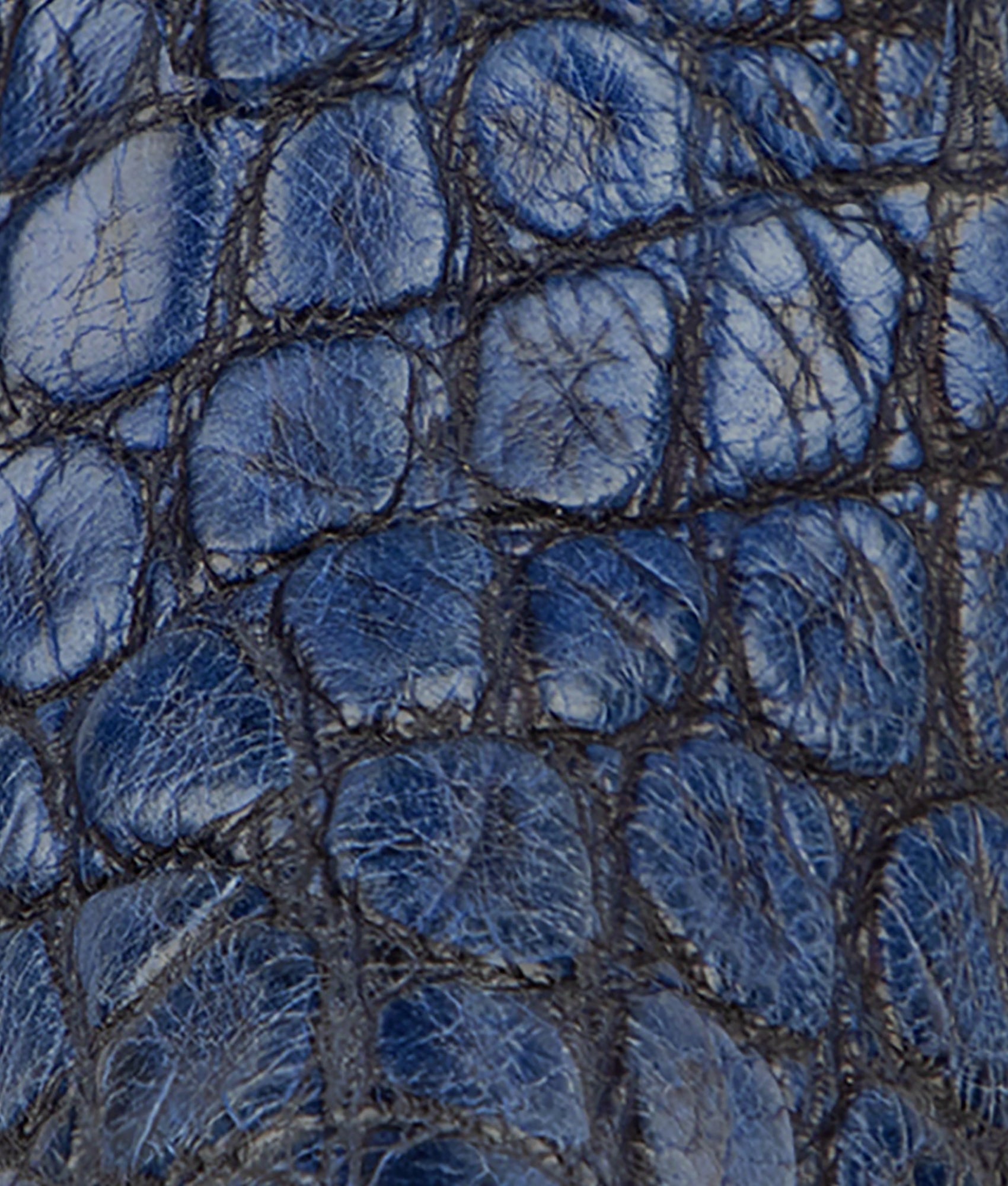 Women's Bluebonnet 140th Anniversary Boot :: Cavalry Blue - Image 14