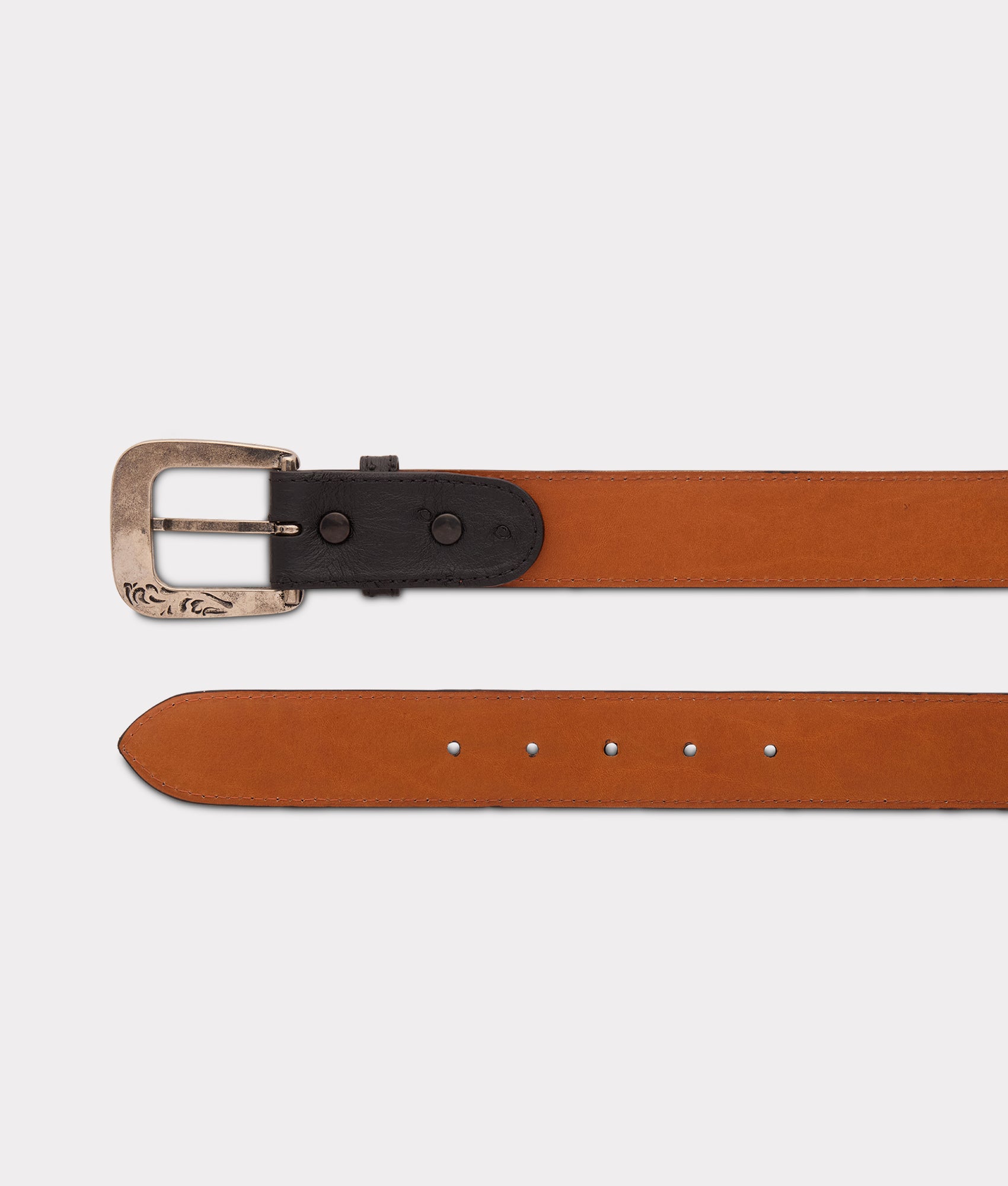 Full Quill Ostrich :: Black - Image 5