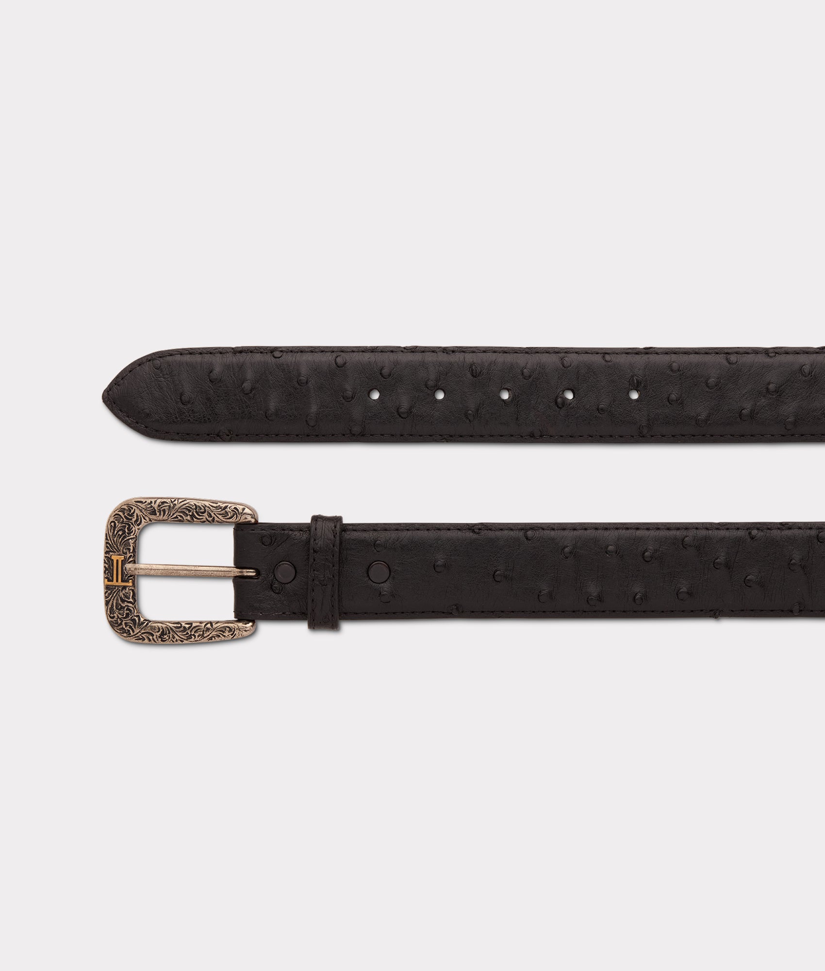 Full Quill Ostrich :: Black - Image 4