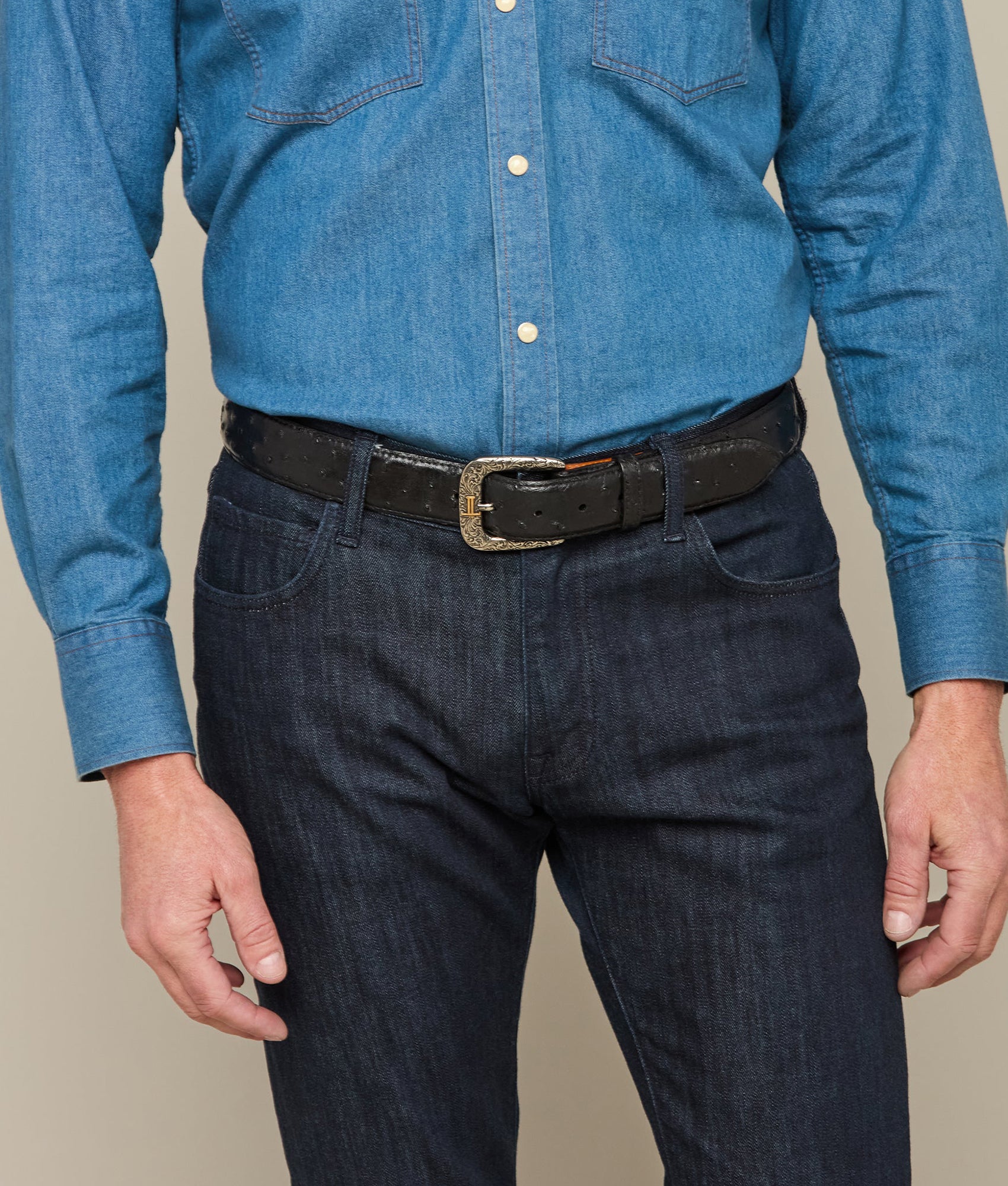 Full Quill Ostrich :: Black - Image 2