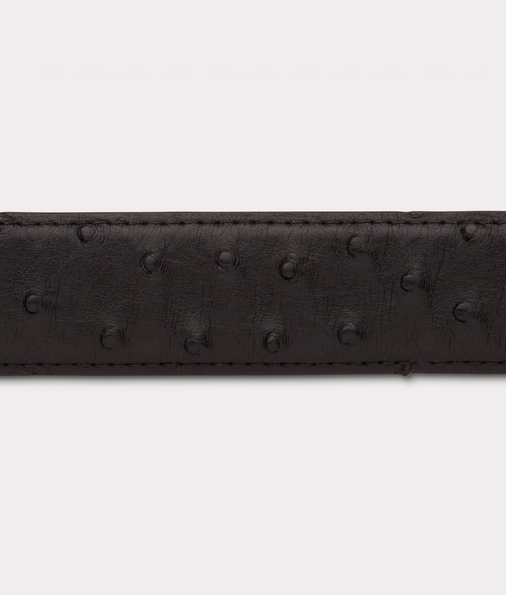 Full Quill Ostrich :: Black - Image 6